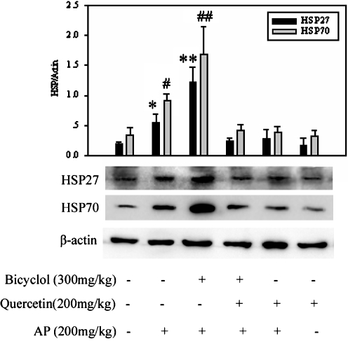 Fig. 6