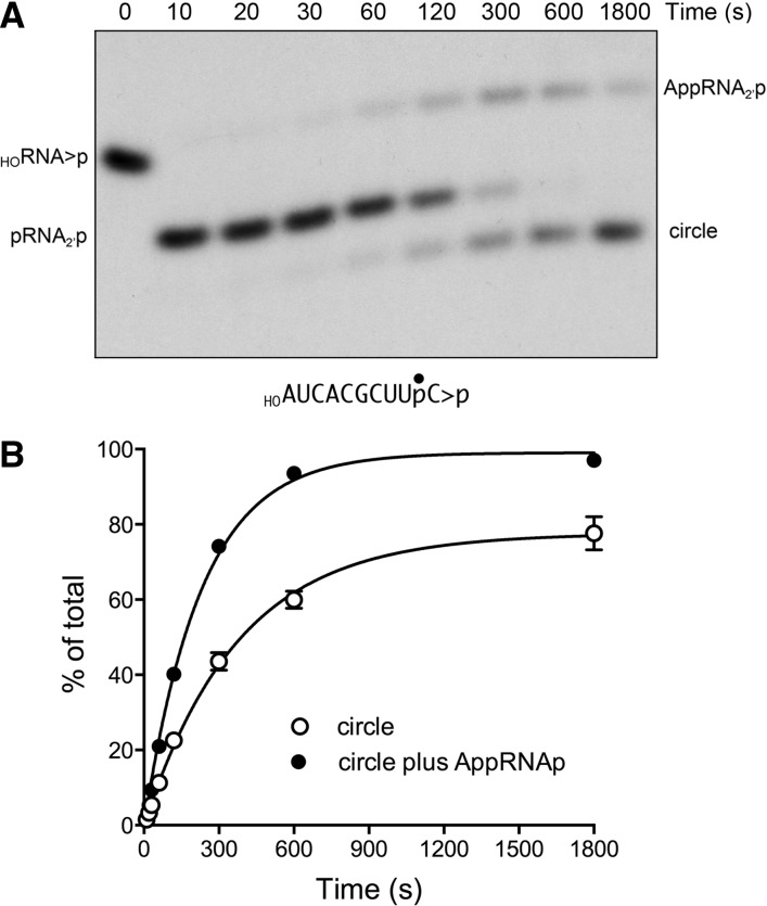 FIGURE 9.