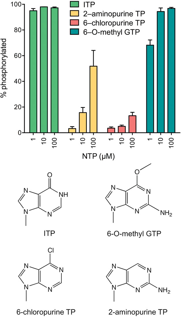 FIGURE 6.