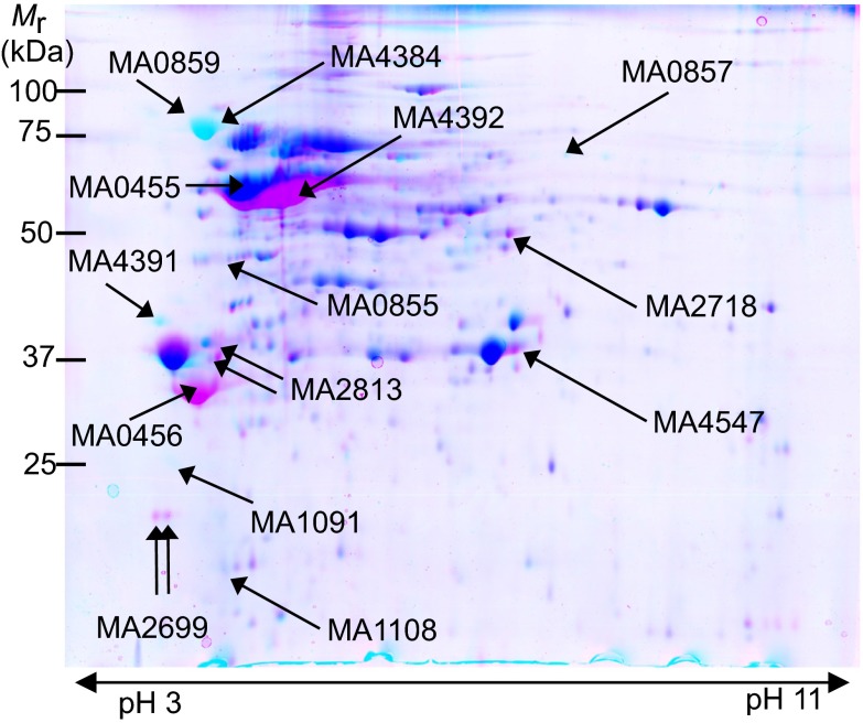 Fig. 2.