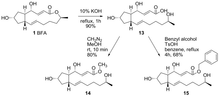 Scheme 4