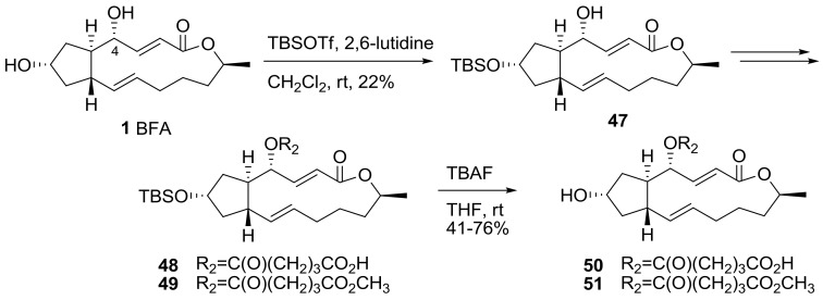 Scheme 10