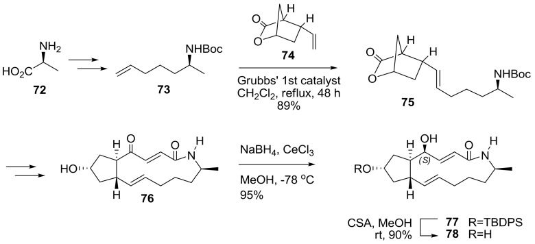 Scheme 16