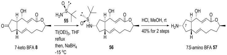 Scheme 13