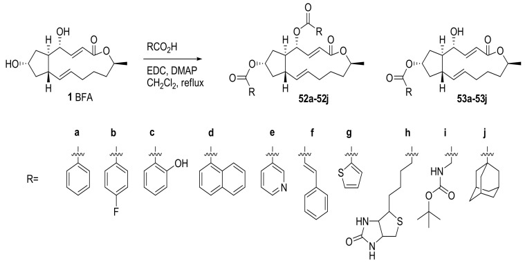 Scheme 11