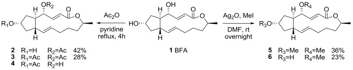 Scheme 1