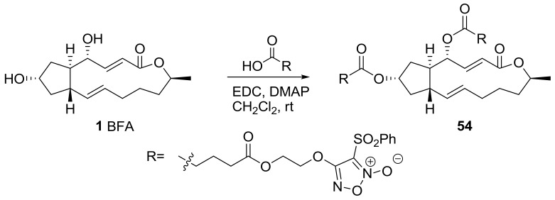 Scheme 12