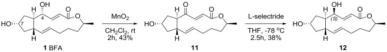 Scheme 3