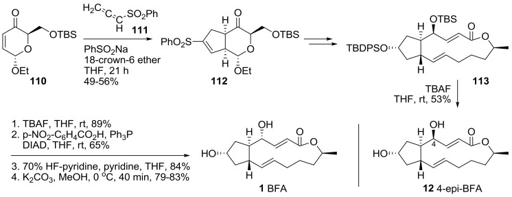 Scheme 23