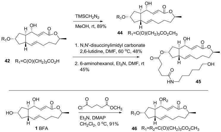 Scheme 9