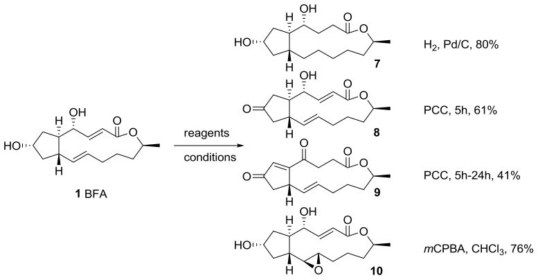 Scheme 2