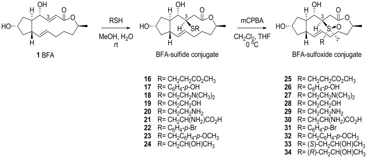 Scheme 6