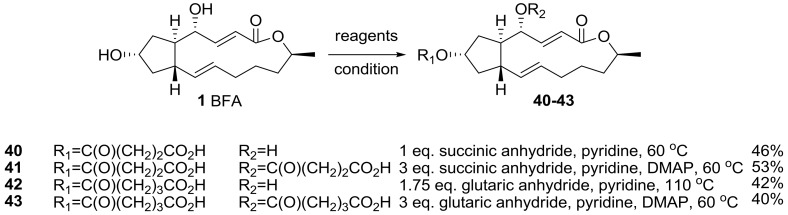 Scheme 8