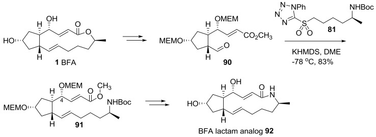 Scheme 19