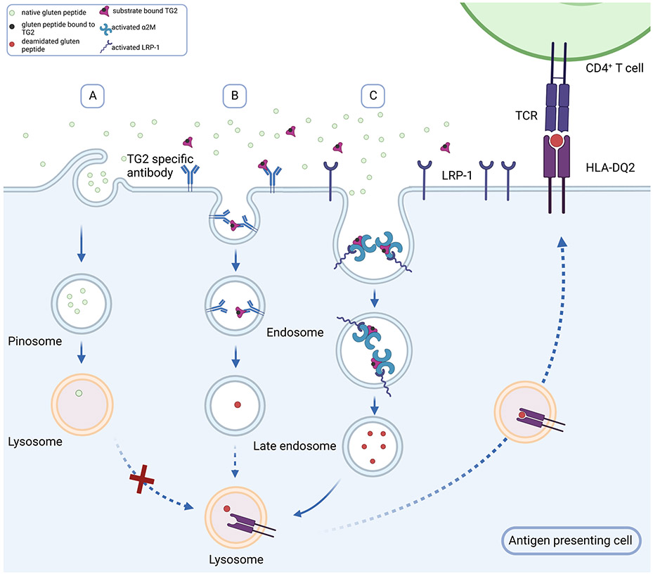 Figure 6: