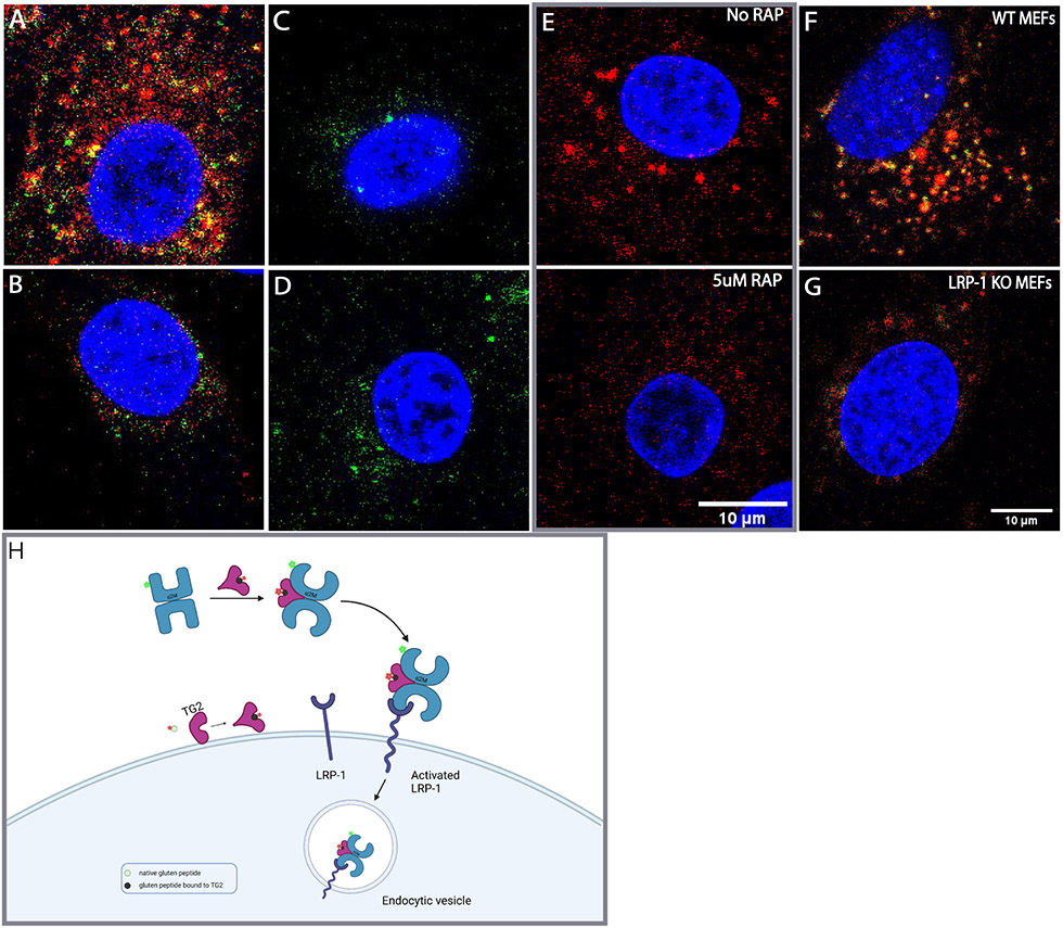 Figure 4: