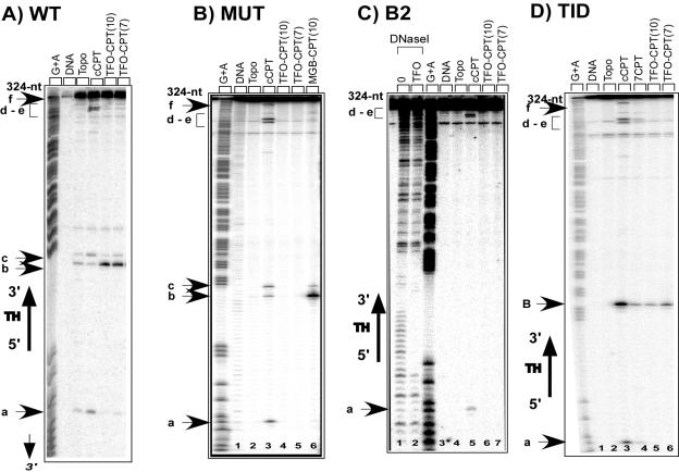 FIG. 6.