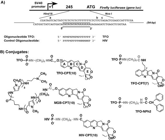 FIG. 1.