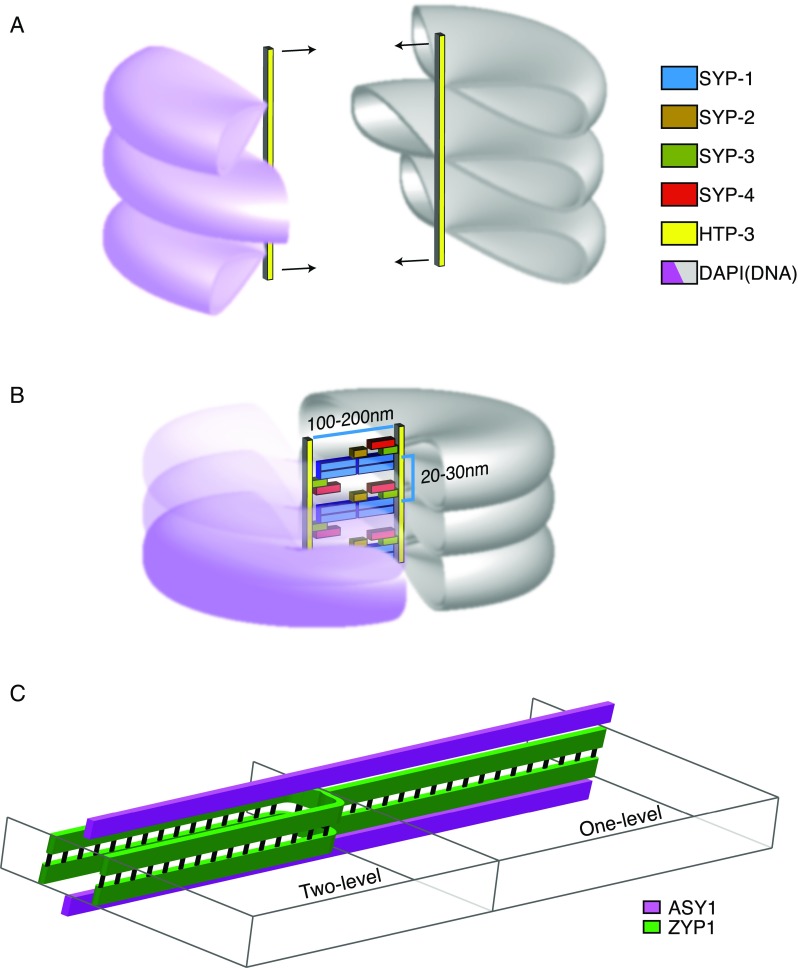 Fig. 2