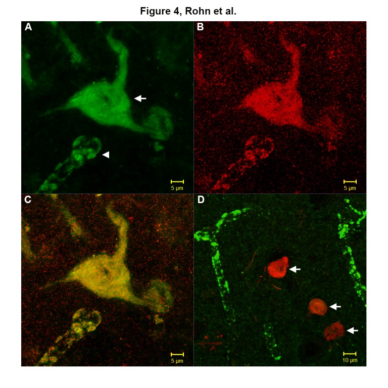 Figure 4.