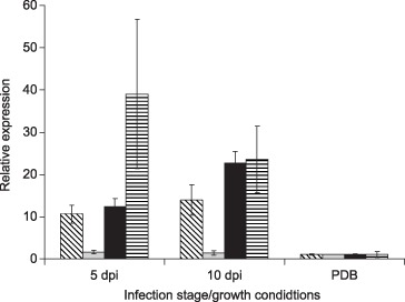 Figure 4