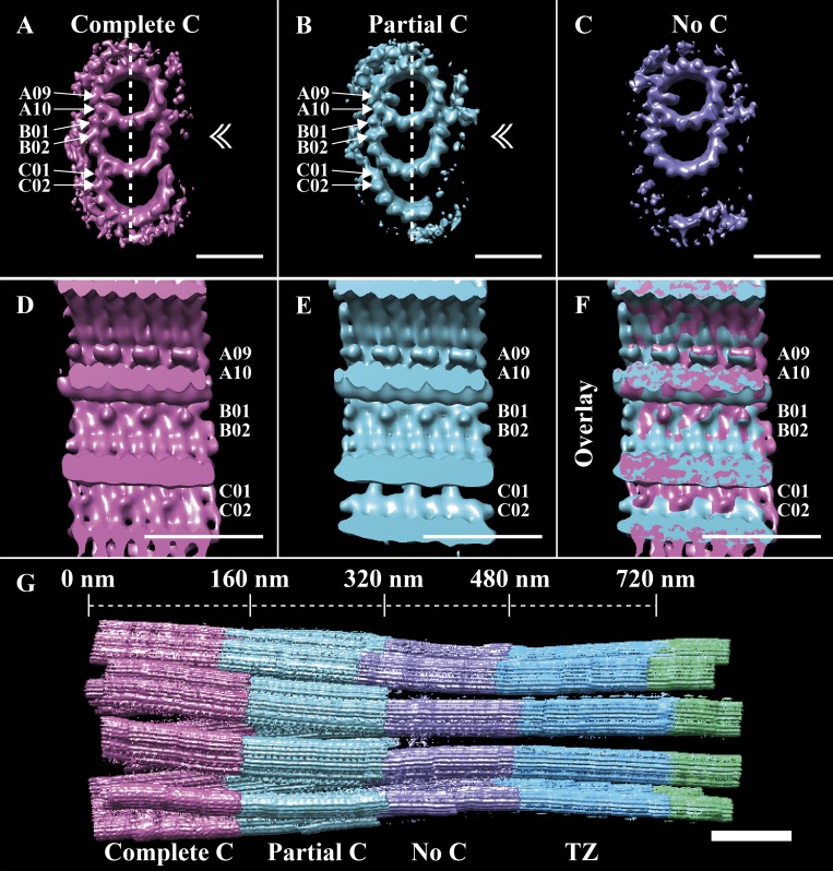 Figure 5.