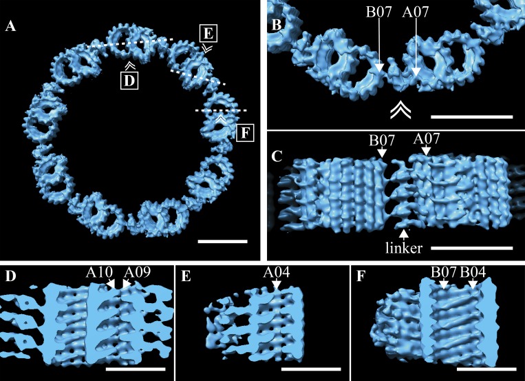 Figure 6.