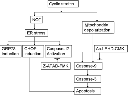 Fig. 7