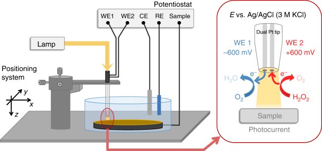 Fig. 2