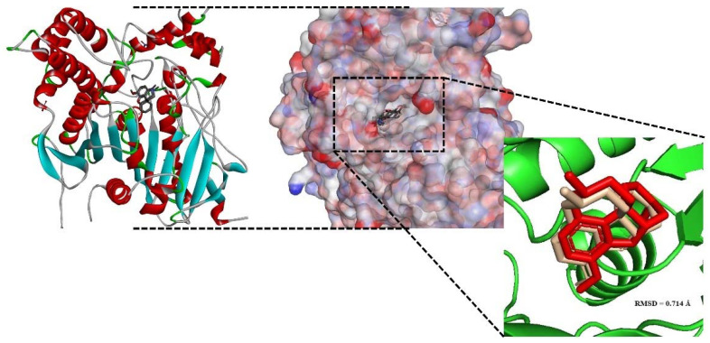 Figure 4