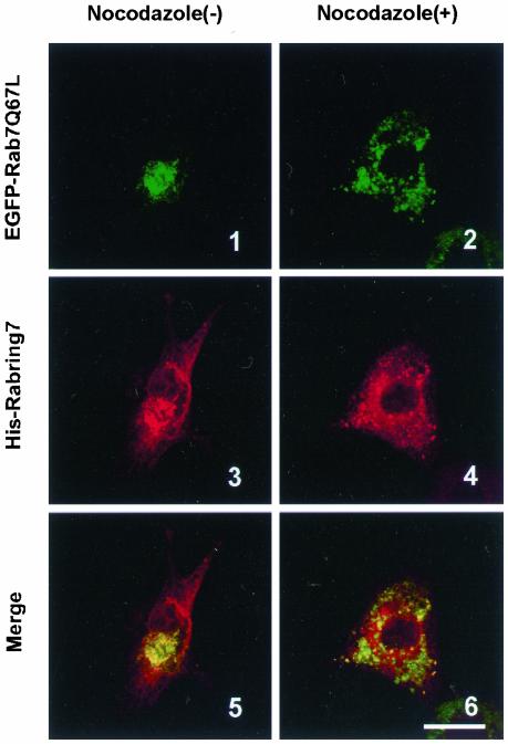 Figure 7.