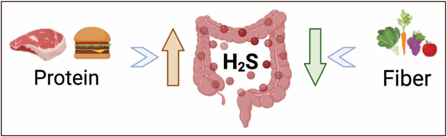 FIGURE 1.