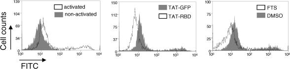 Fig. S1