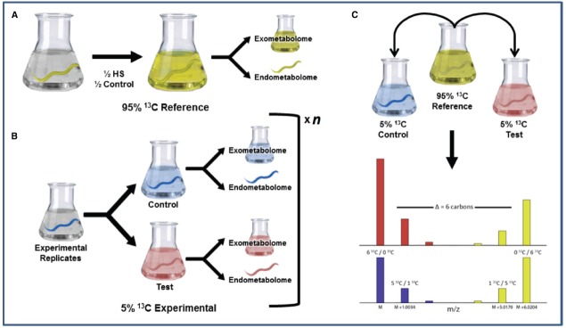 FIGURE 3