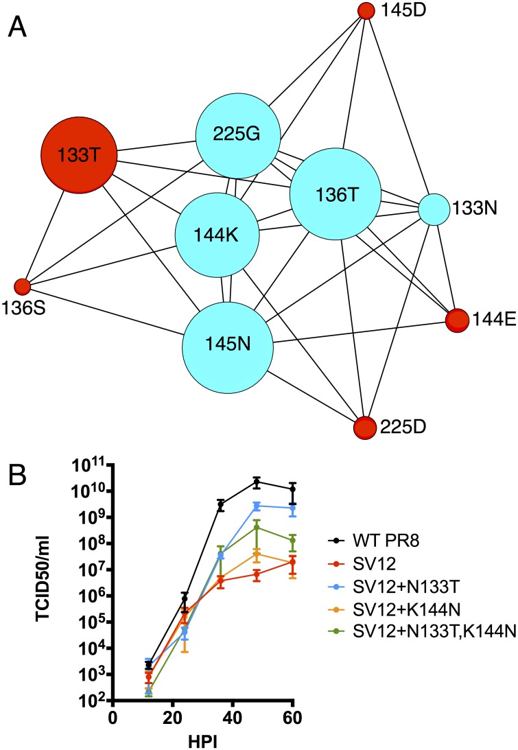 Fig 6