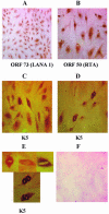 FIG. 7.