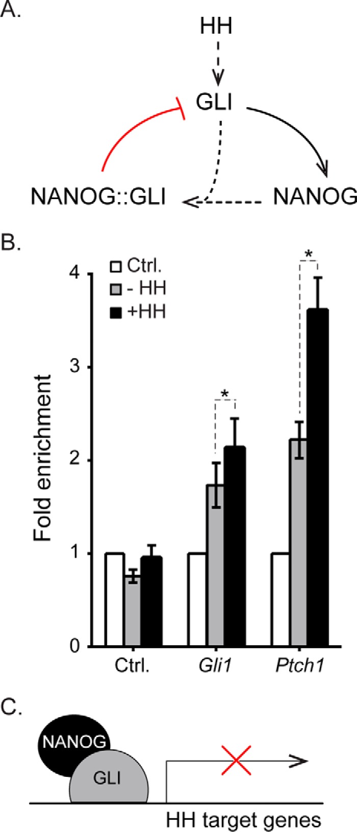 FIGURE 6.