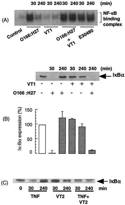 FIG. 8.