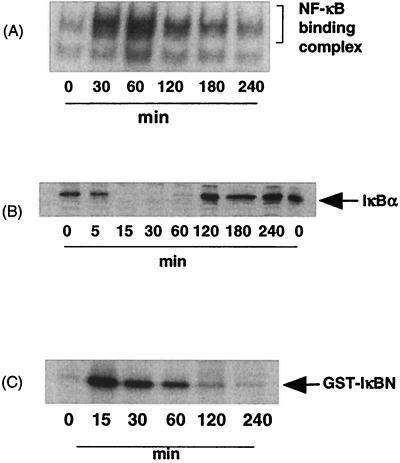 FIG. 7.