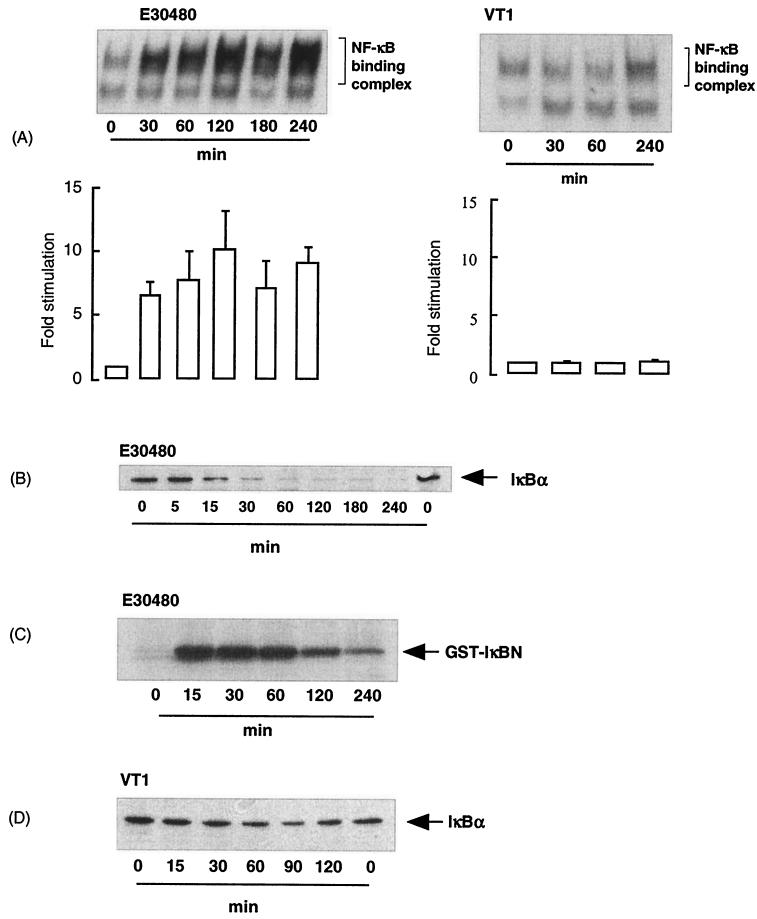 FIG. 6.