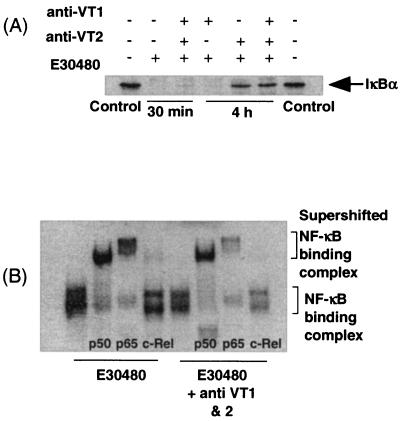 FIG. 9.