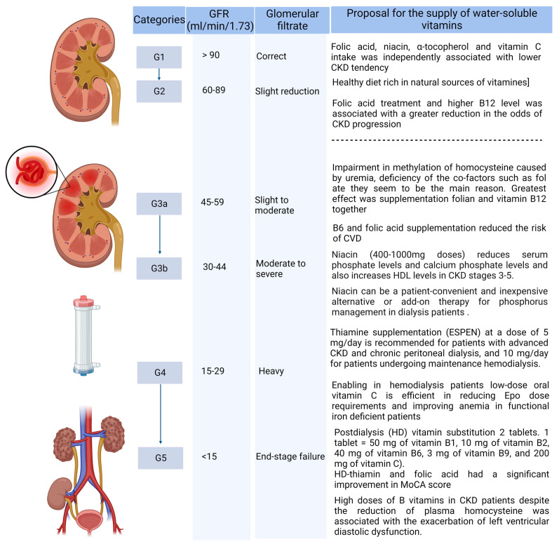 Demand for water soluble vitamins in a group of patients with ckd