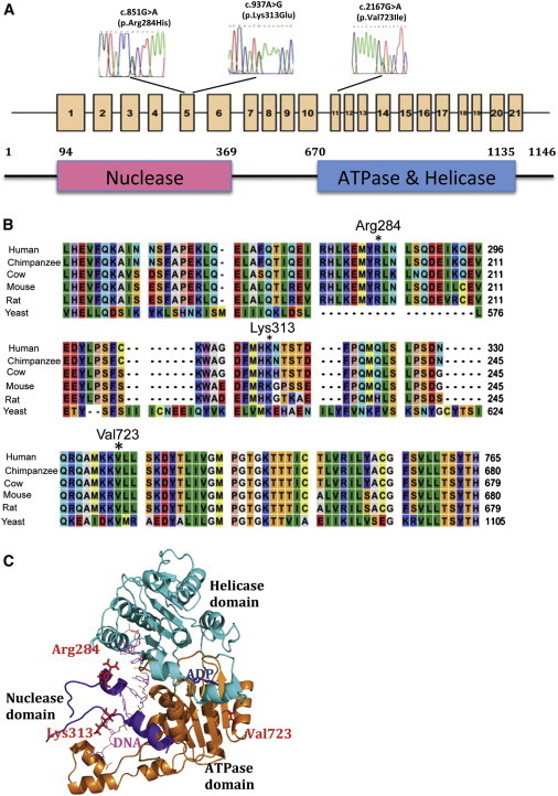 Figure 2