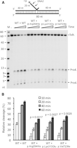 Figure 4