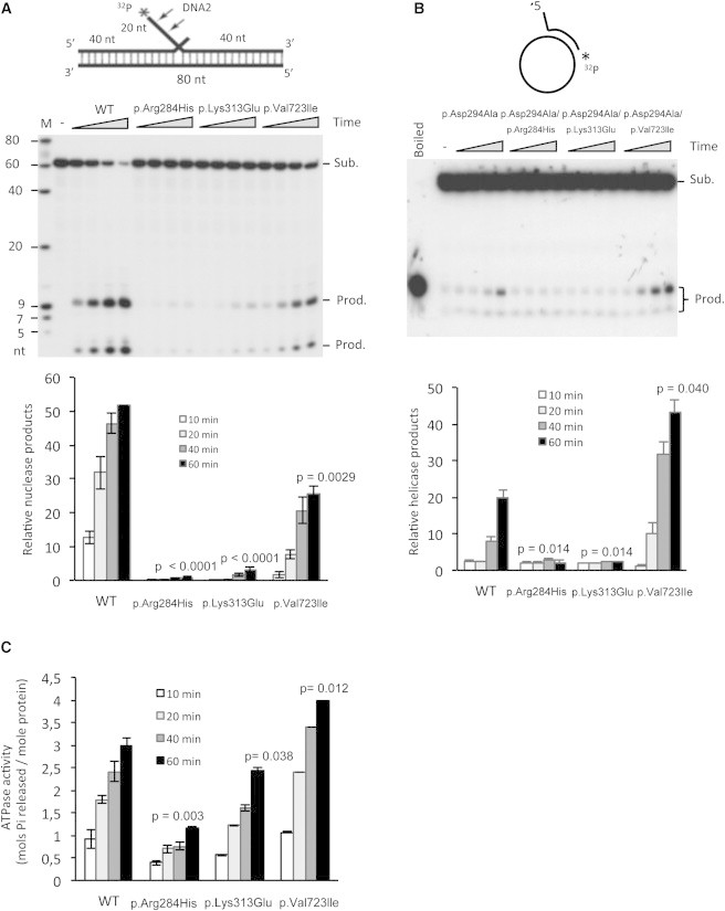 Figure 3