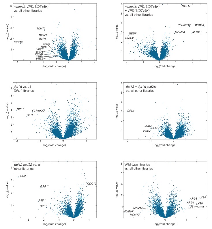 Figure 4—figure supplement 1.