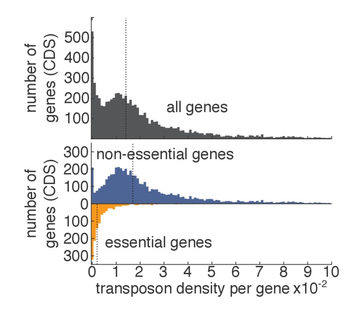 Figure 1—figure supplement 3.