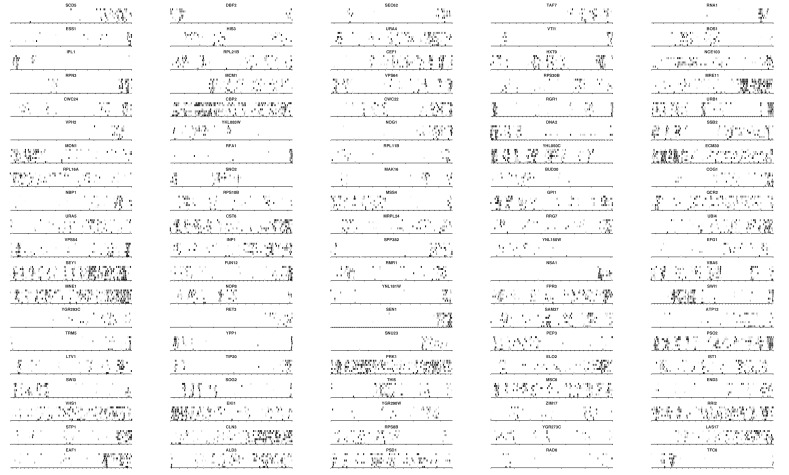 Figure 2—figure supplement 4.