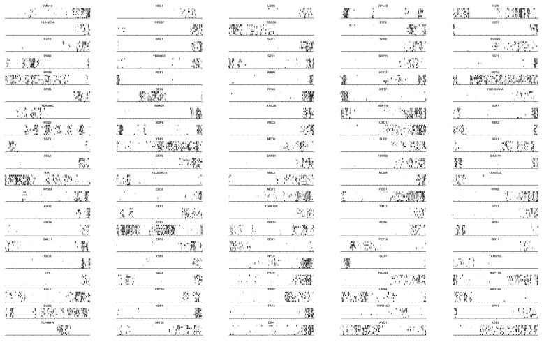 Figure 2—figure supplement 3.