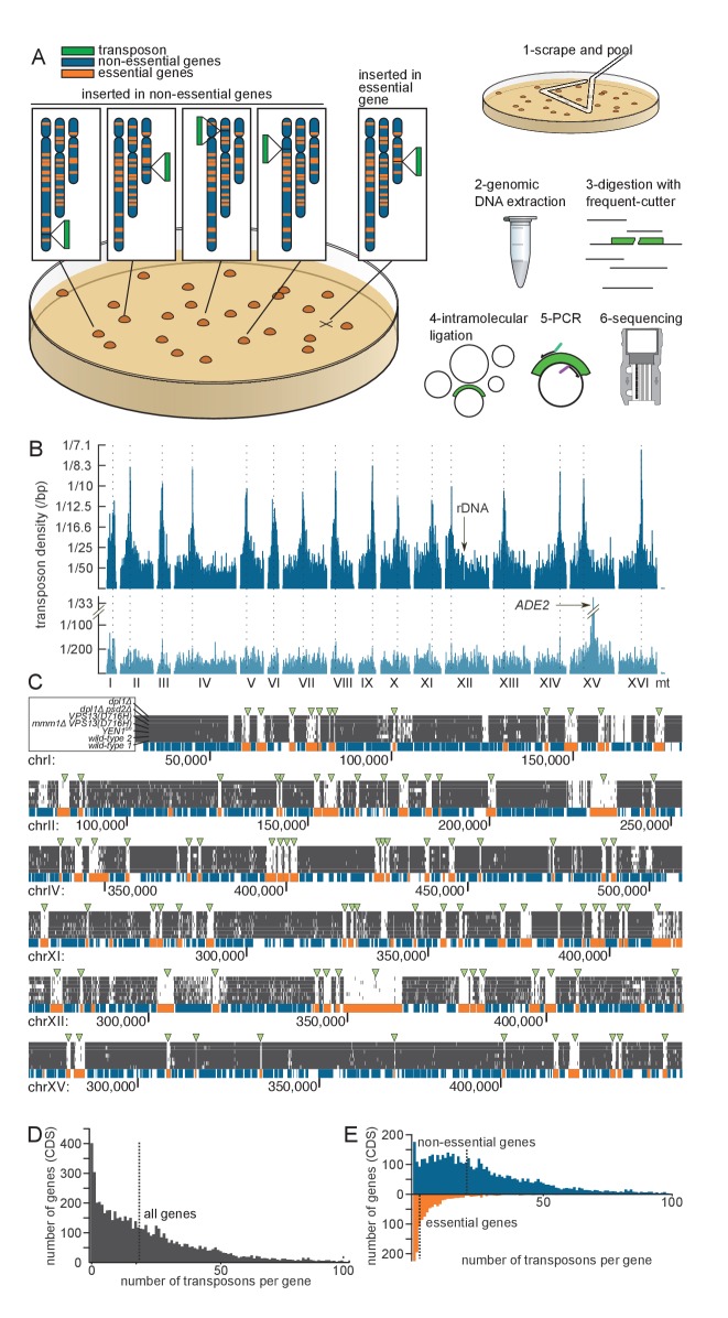 Figure 1.